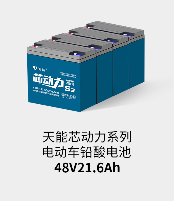 世界杯压球官网-世界杯中国官方网站电池48v20ah