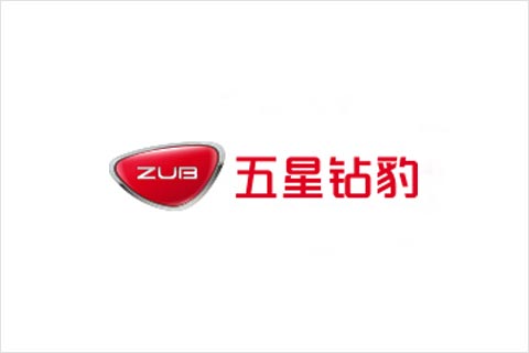 世界杯压球官网-世界杯中国官方网站电池合作伙伴 五星钻豹电动车